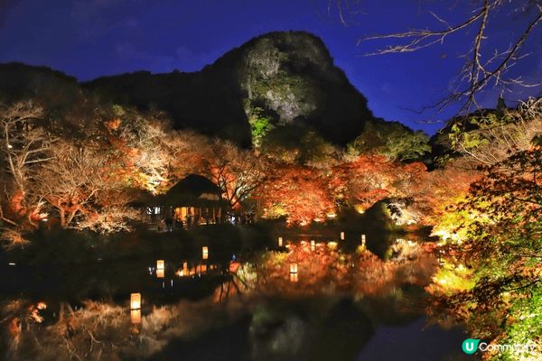 御船山樂園，四季景色都美，早晚又不同感覺，而且有team l...