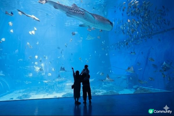 珠海長隆海洋王國是帶3歲女兒親子遊的絕佳去處！你們可以一起漫...