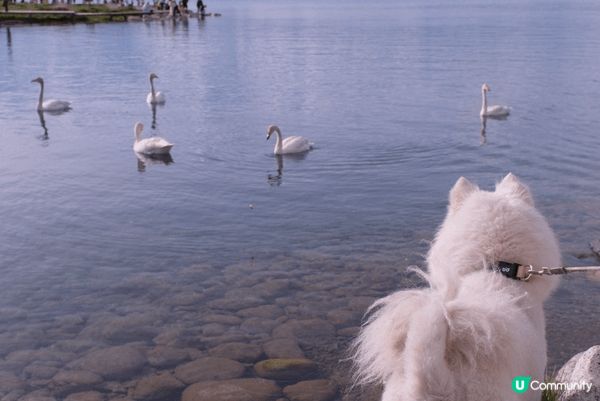 新疆伊犁地區靚人靚境，人生必去境點之一，畢生難忙