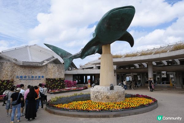 沖繩美麗海水族館，有唔到海洋生物，特別係有真既鯨鯊