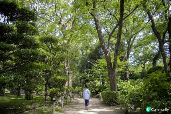 https://www.instagram.com/p/DU...