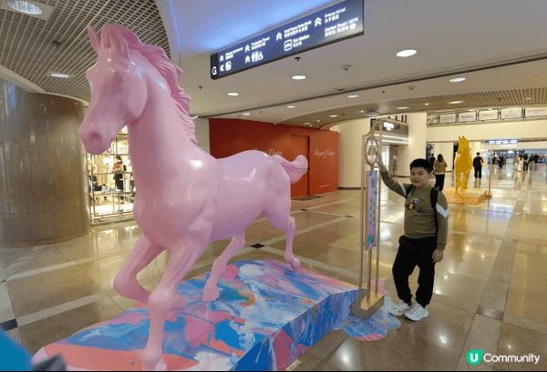 最近同仔仔傾過海港城，佢話啲馬五顏六色好靚，今晚個頭就最特別...