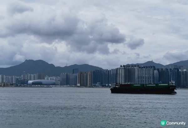 放暑假要帶仔仔出嚟放電，唔好淨係屈喺屋企睇手機！東岸版道東段...