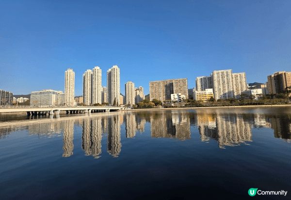 第一張係馬灣1686resort, 可以帶狗入住