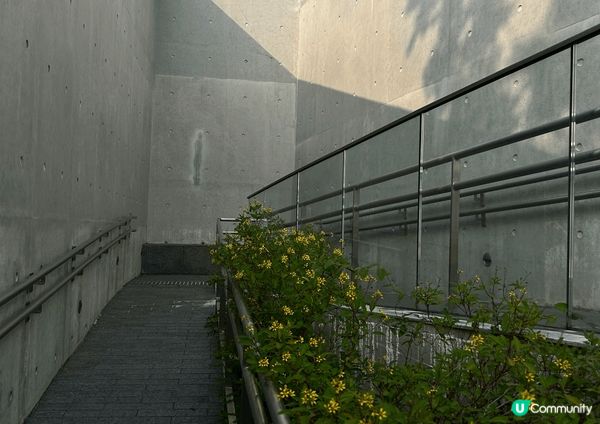 西九文化區，有種好似去旅行嘅感覺清幽嘅樹木草地，去令你同朋友...