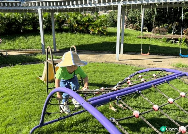 大埔的蝶豆花園是一個非常適合親子遊樂的好去處。這個佔地50萬...