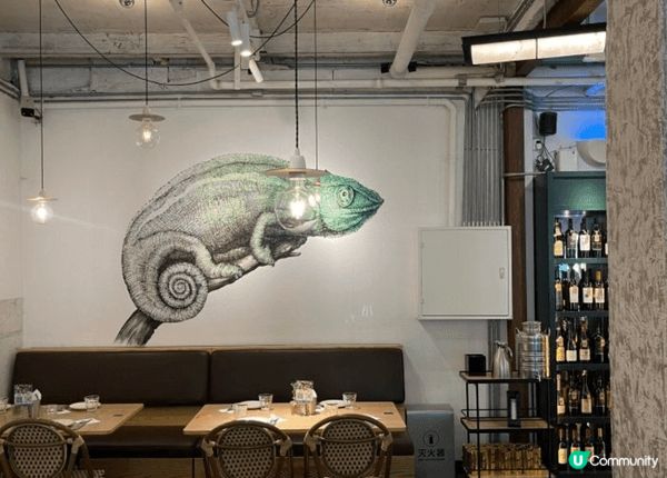 最近和朋友去了O‘eat Blossom & Pelican...