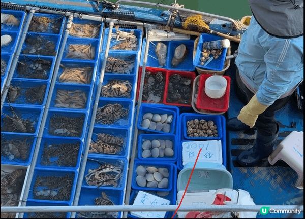 西貢艇仔海鮮檔，新鮮就唔使講啦，啲海鮮全部都勁生猛，最得意嘅...