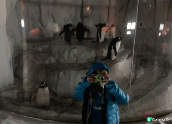 最好的打卡點當然是海洋公園的海洋哺乳動物繁殖及研究中心，可以...