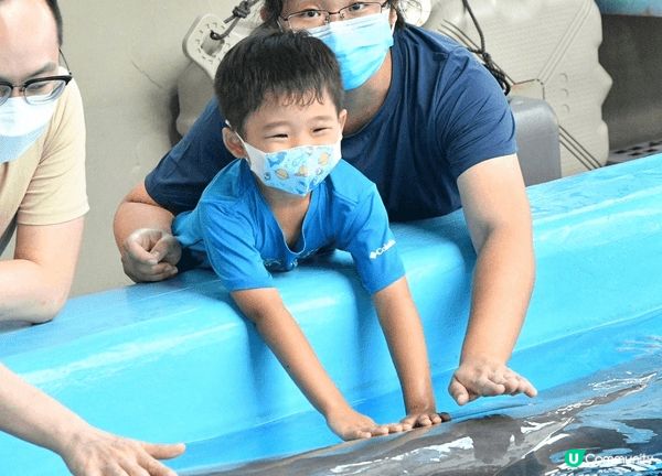 最好的打卡點當然是海洋公園的海洋哺乳動物繁殖及研究中心，可以...