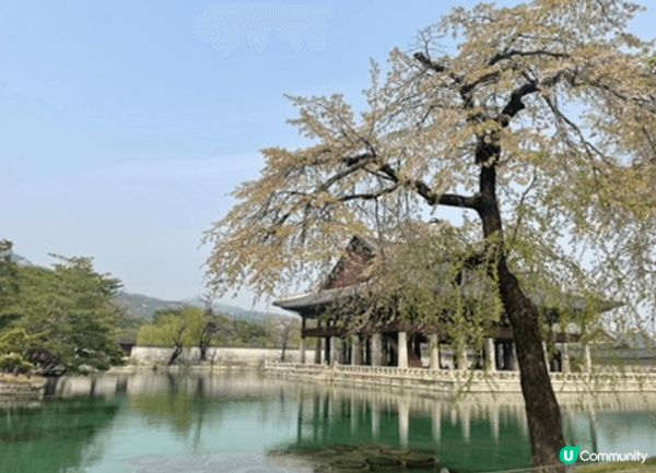 韓國旅行必打卡！甜點與古風的雙重驚喜