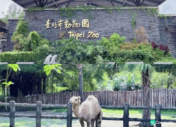 去台灣點可以唔去台北市立動物園，園區內有超過四百種動物，係東...