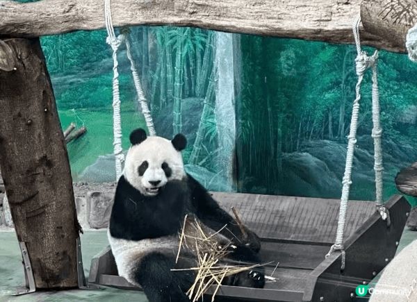 去台灣點可以唔去台北市立動物園，園區內有超過四百種動物，係東...