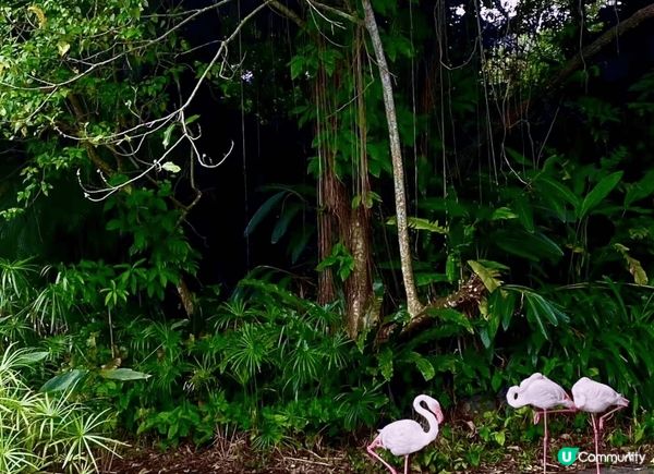去台灣點可以唔去台北市立動物園，園區內有超過四百種動物，係東...