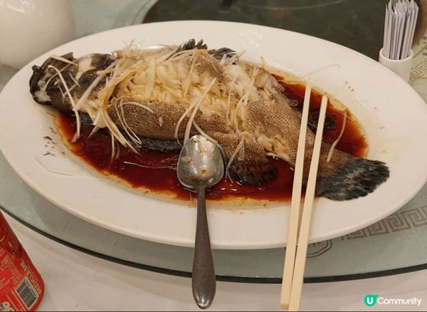 鮑魚忟冬茹:冬茹大隻肉厚，鮑魚鮮美，好好味