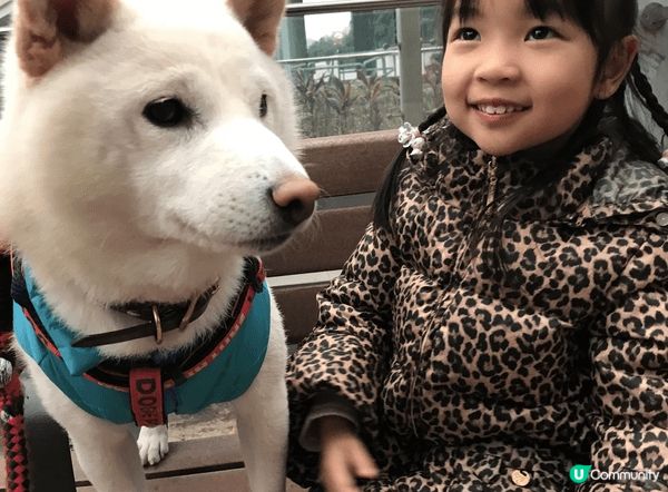 校園團體學習與人狗溫馨互動，能培養孩子社交力與專注力，孩子與...