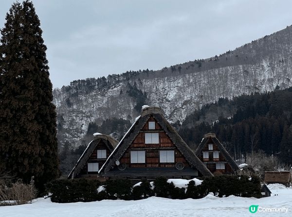 白川鄉位於日本岐阜縣的西北部，是著名的世界文化遺產地，以獨特...