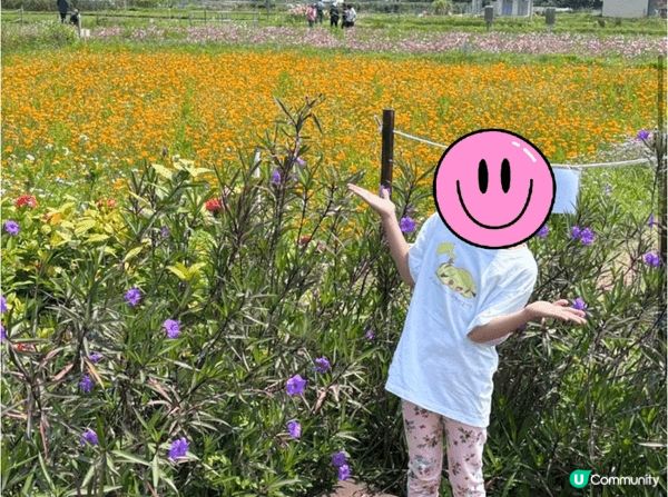 想推介的地方是塱原自然生態公園。塱原是一大片具有高生態價值的...