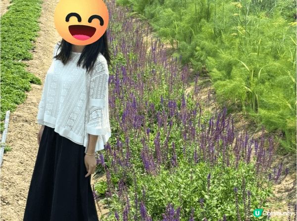 想推介的地方是塱原自然生態公園。塱原是一大片具有高生態價值的...