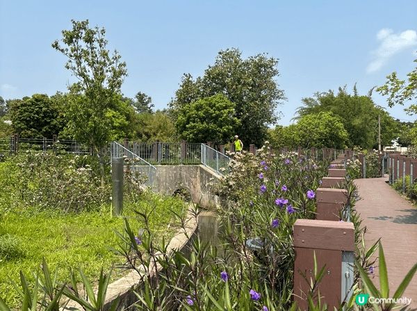 想推介的地方是塱原自然生態公園。塱原是一大片具有高生態價值的...