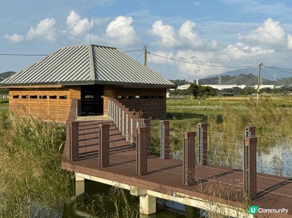 想推介的地方是塱原自然生態公園。塱原是一大片具有高生態價值的...