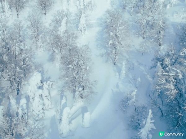 山形樹冰高原指的是日本山形縣「藏王連峰」高海拔地區出現的樹冰...