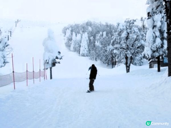 山形樹冰高原指的是日本山形縣「藏王連峰」高海拔地區出現的樹冰...