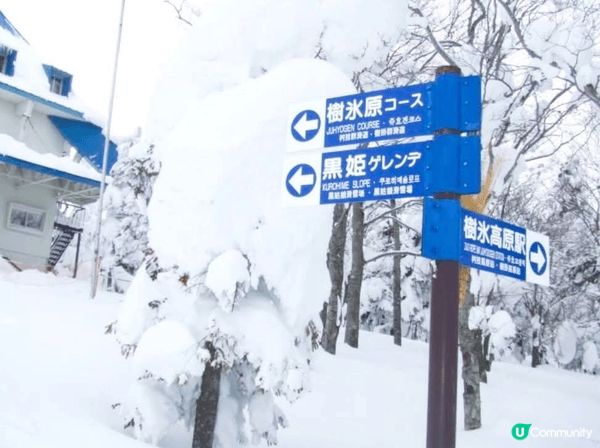 山形樹冰高原指的是日本山形縣「藏王連峰」高海拔地區出現的樹冰...