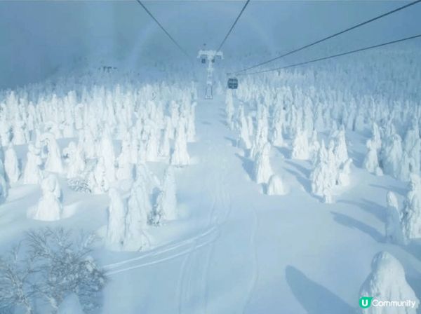 山形樹冰高原指的是日本山形縣「藏王連峰」高海拔地區出現的樹冰...