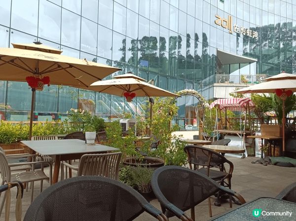 五指毛桃燉湯好喝，番茄炒椰菜花味道家常，餃子軟糯且餡料豐富，...
