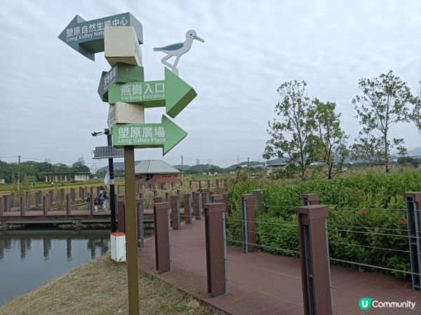 微熱的周日上午，有來自濕地公園的幾位義工來導賞塱原自然生態公...