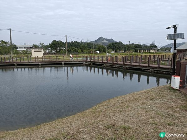 微熱的周日上午，有來自濕地公園的幾位義工來導賞塱原自然生態公...