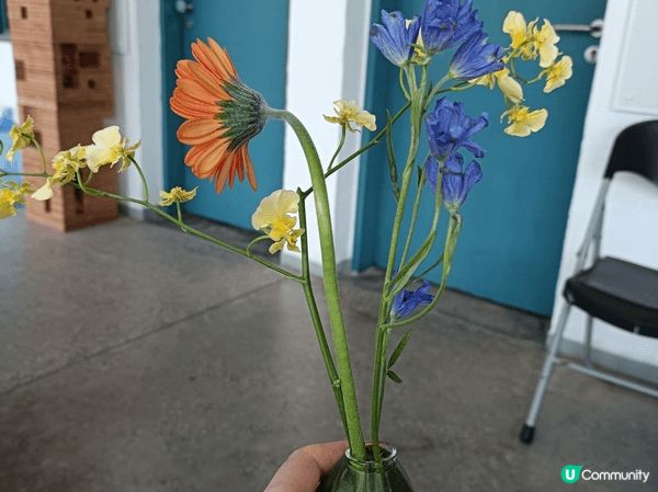 detour走PMQ每年一大盛事，今年主題是「慾望之器」，透...