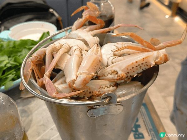 千海水產海鮮火鍋放題 – 香港荃灣荃灣廣場的港式火鍋
