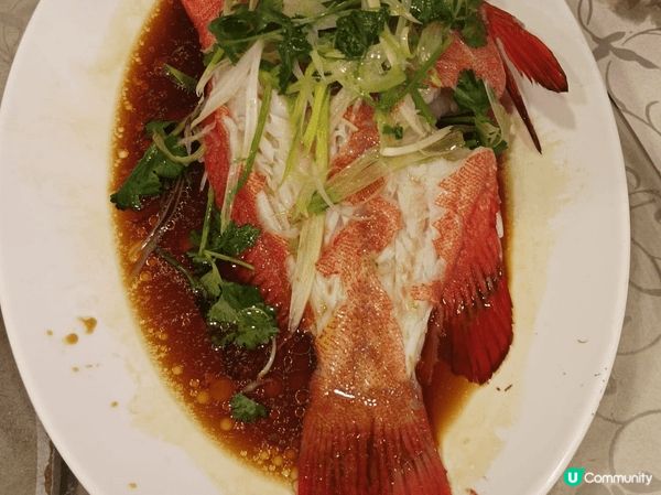 在竹園海鮮飯店與同事們品嚐美味的中式晚飯,包括紅瓜子和很少見...
