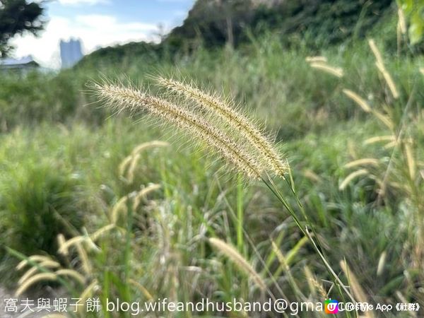 本地遊 | 坐地鐵遊香港 | 油塘站 | 鯉魚門石礦場