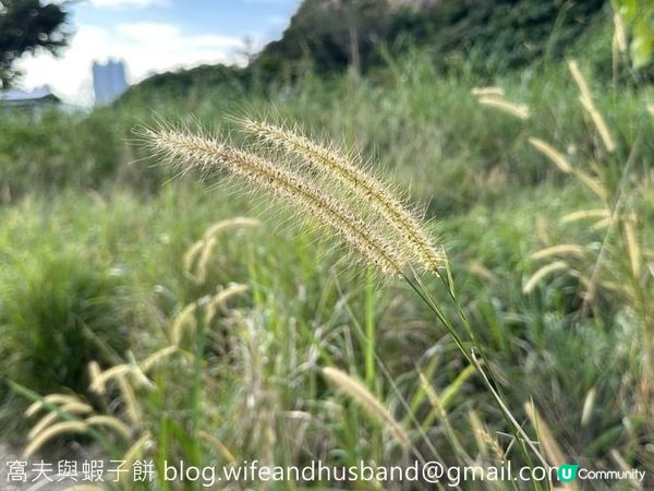 本地遊 | 坐地鐵遊香港 | 油塘站 | 鯉魚門石礦場