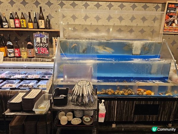 🇯🇵福岡高性價比壽司推薦 | 博多豐一壽司長濱餐廳