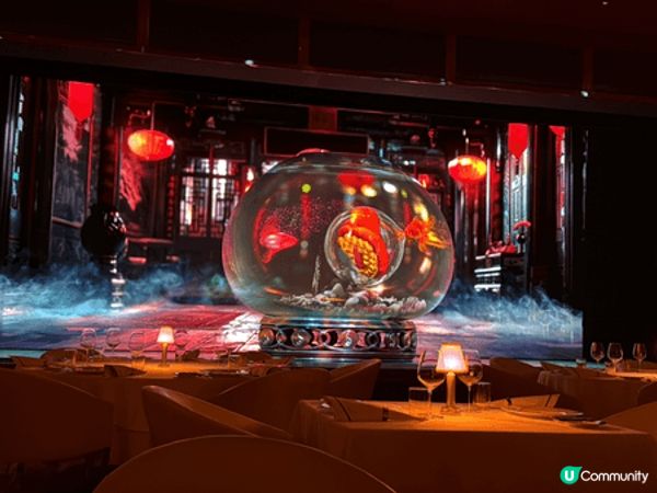 餐廳推介：澳門永利扒房，浪漫情調，環境舒適，好適合拍拖週年，...