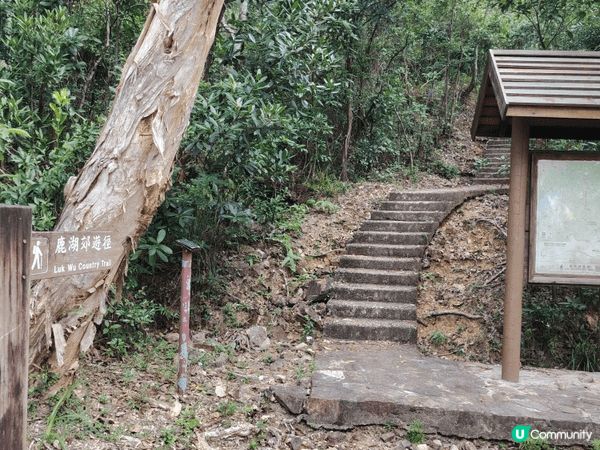西貢郊遊行山打咭熱點，可到破邊洲段，亦可觀賞六角形岩住