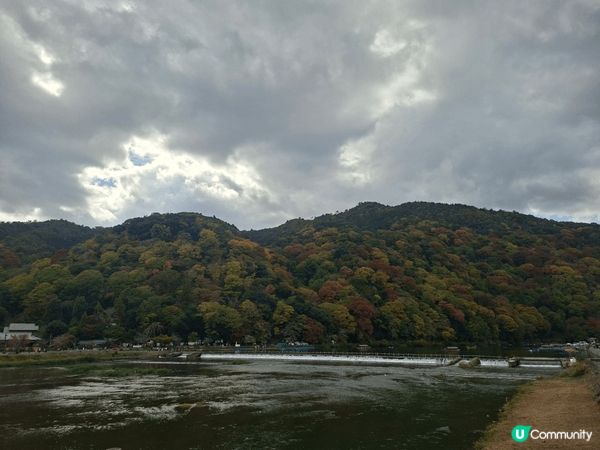 ✨️今次介紹和推薦一個遊日本京都嵐山區的著名熱門旅遊景點就是...