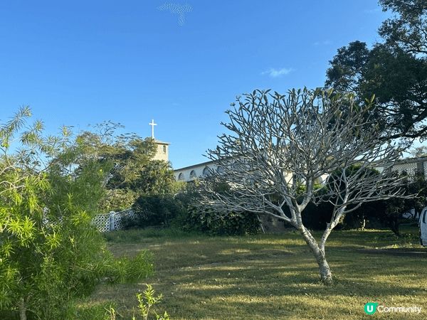 香港行山觀光，梅窩行去愉景灣美景，輕鬆遊