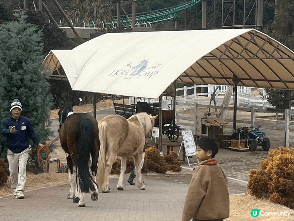 日本既adventure world 動物園, 可以同小朋友...