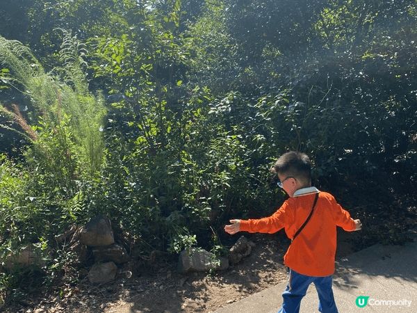 親子勝地推薦：香港仔水塘