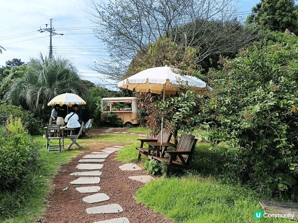 韓國濟州島-GAMTTANAM CAFE濟州橘子園咖啡廳，好...