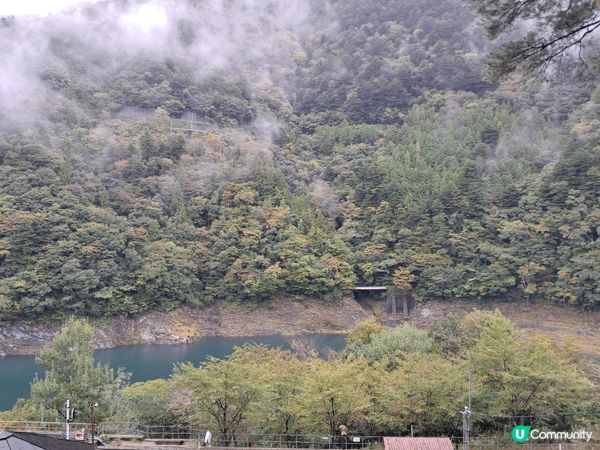 日本靜岡大井川線上的景色，天然風光，又有觀光客冒名之來乘搭T...