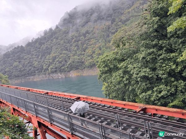 日本靜岡大井川線上的景色，天然風光，又有觀光客冒名之來乘搭T...