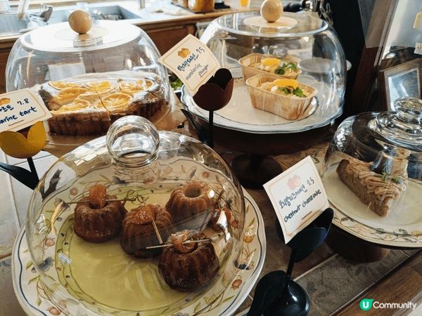 韓國濟州島-GAMTTANAM CAFE濟州橘子園咖啡廳，好...