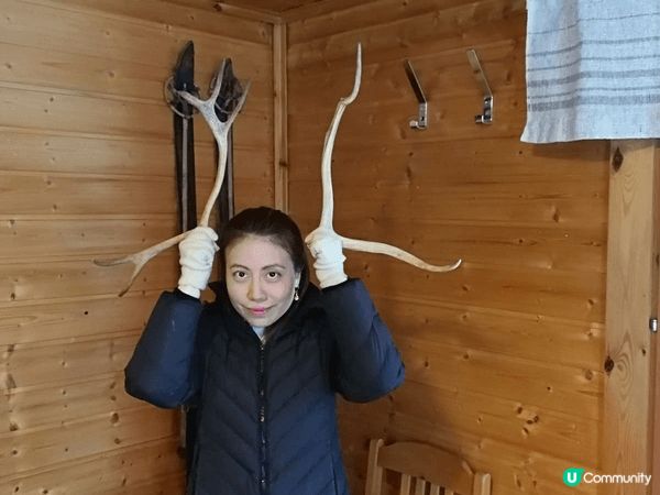 白色聖誕，氣氛滿溢，熱情乖巧二哈！兒時夢想地方，願世界平安！...