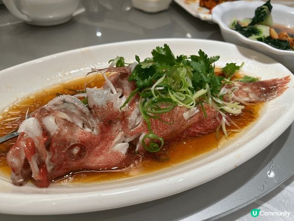 鍾意和家人同朋友享受進食西餐時的氣氛和精緻，同時十分喜愛中餐...